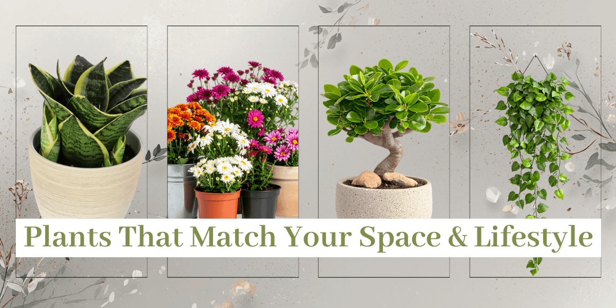 Plants That Match Your Space & Lifestyle